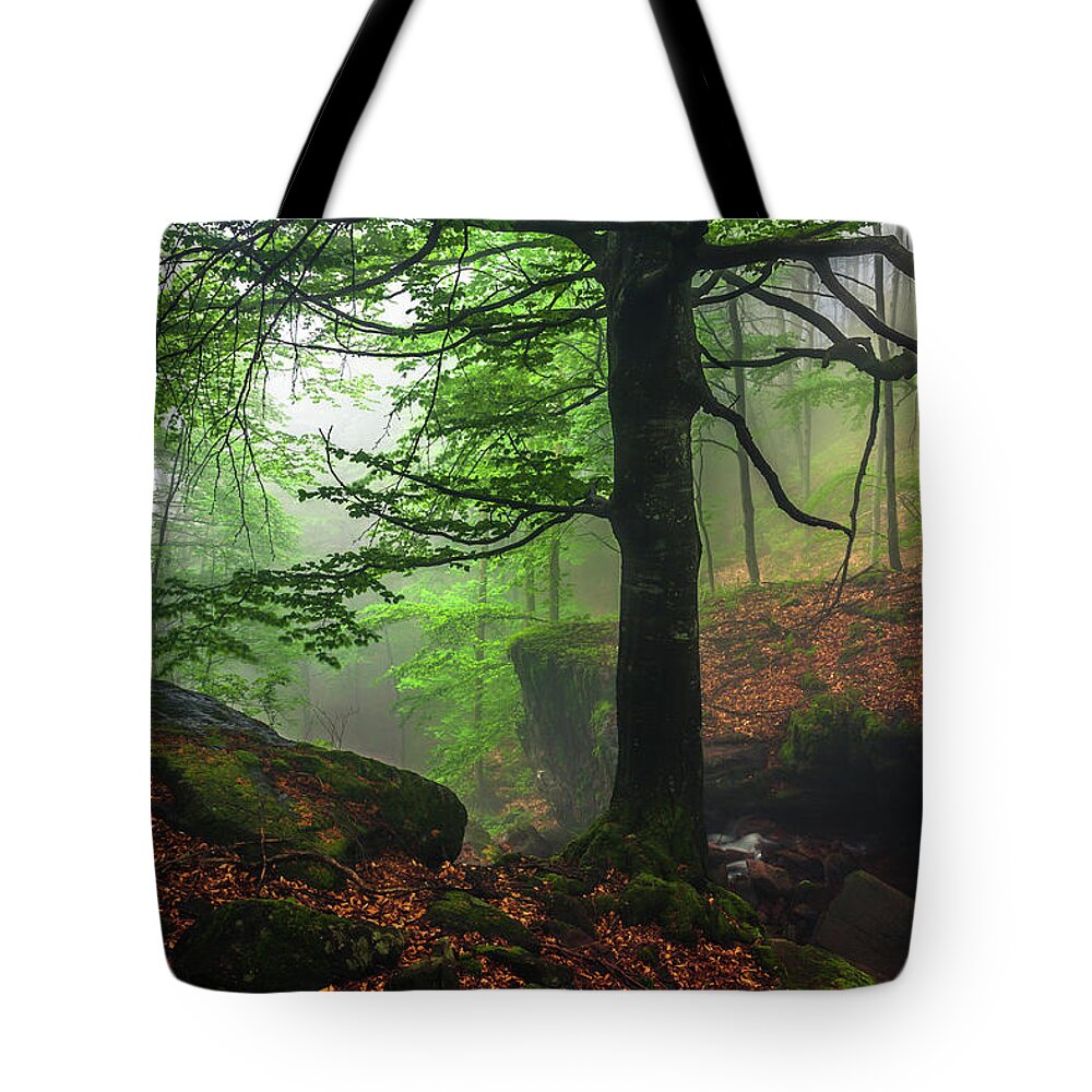 Fog Tote Bag featuring the photograph Dark Forest by Evgeni Dinev