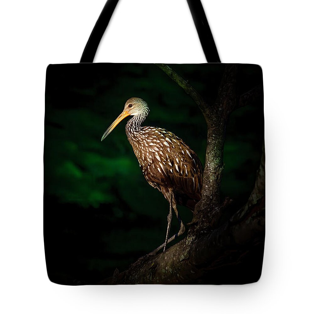 Limpkin Tote Bag featuring the photograph Dark Forest Limpkin by Mark Andrew Thomas