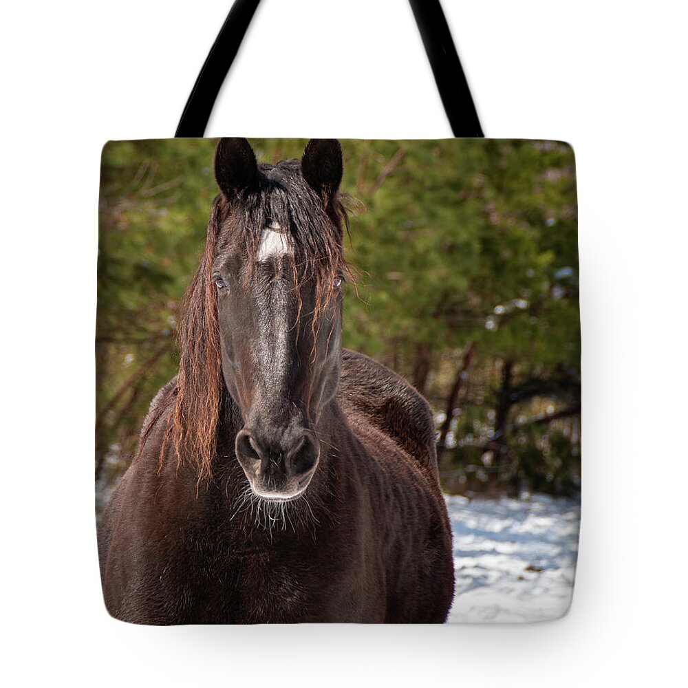 Horses Tote Bag featuring the photograph Dark Horse In The Snow by Kristia Adams