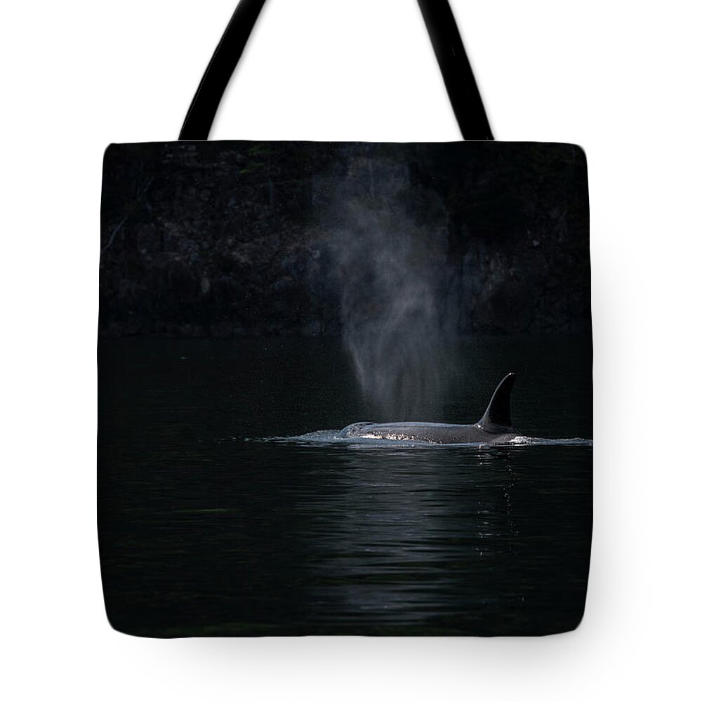 Orca Tote Bag featuring the photograph Dark on Dark by Canadart -