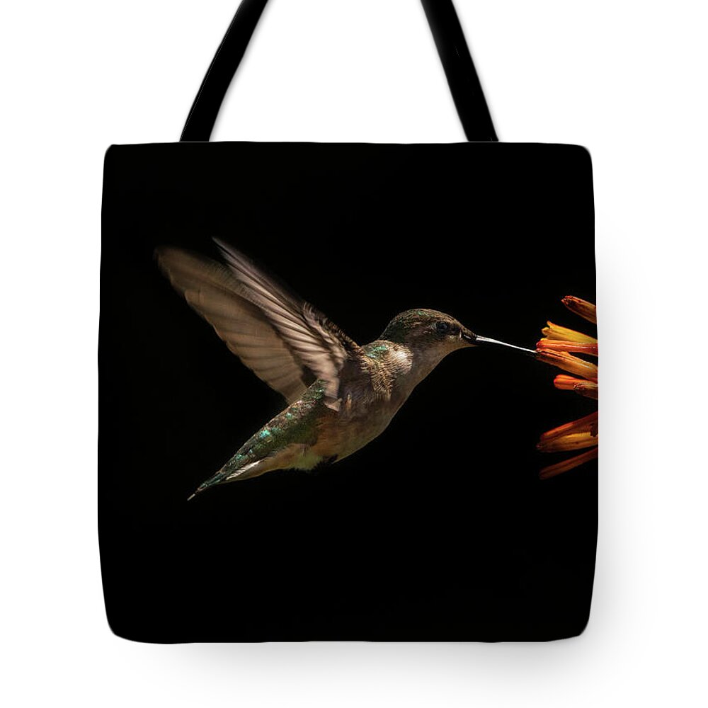 Ruby Throated Hummingbird Tote Bag featuring the photograph Dark Ruby by Justin Battles