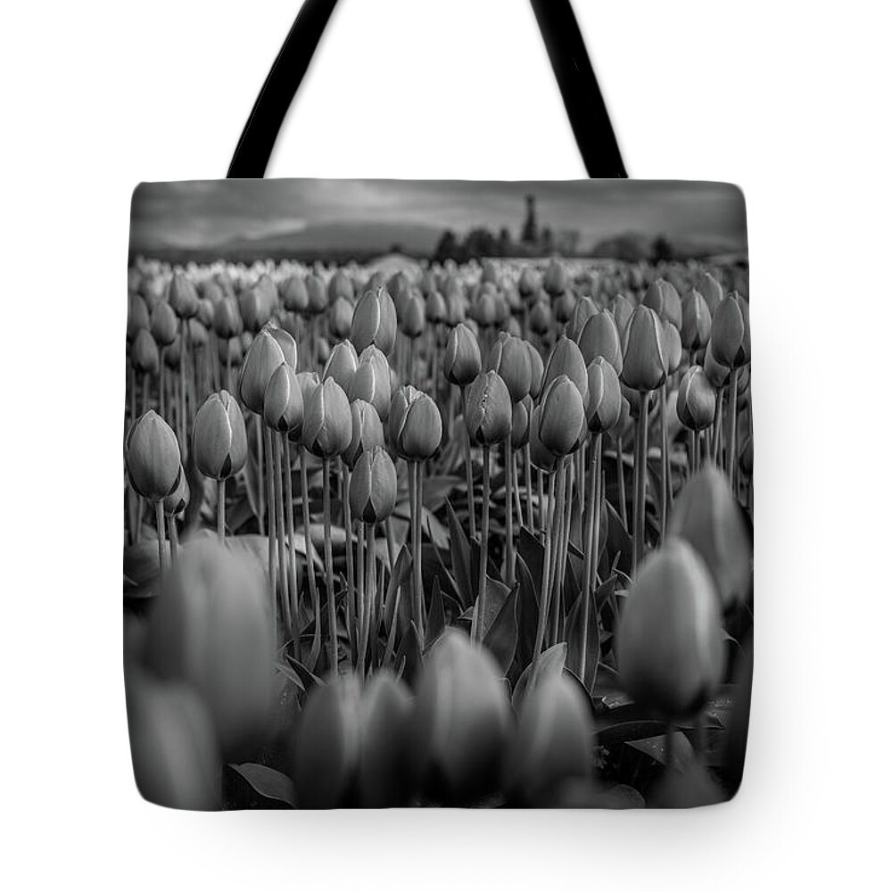 Tulips Tote Bag featuring the photograph Dark yet Beautiful by Dheeraj Mutha