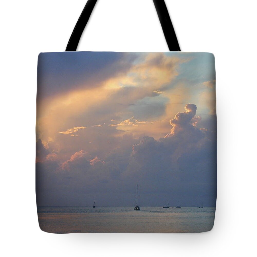  Tote Bag featuring the painting David Sky by John Gholson