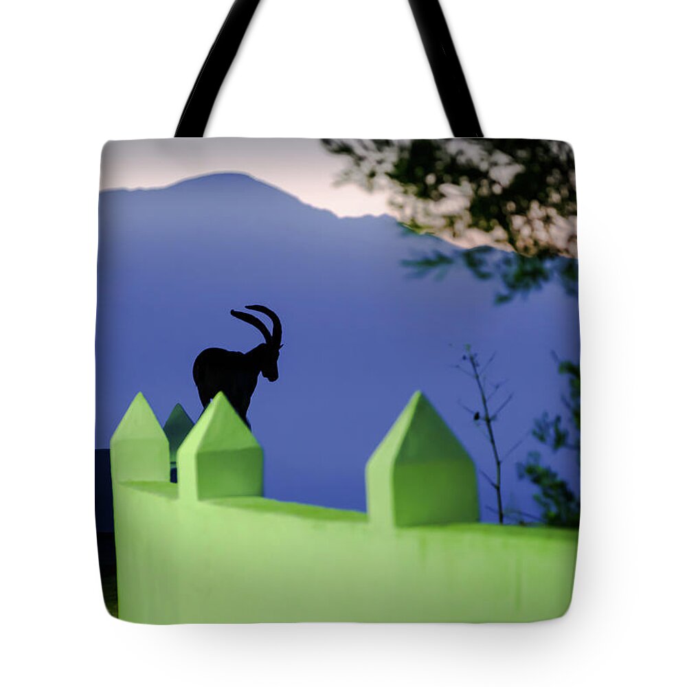 Ibex Tote Bag featuring the photograph Dawn patrol on the Moorish watchtower by Gary Browne