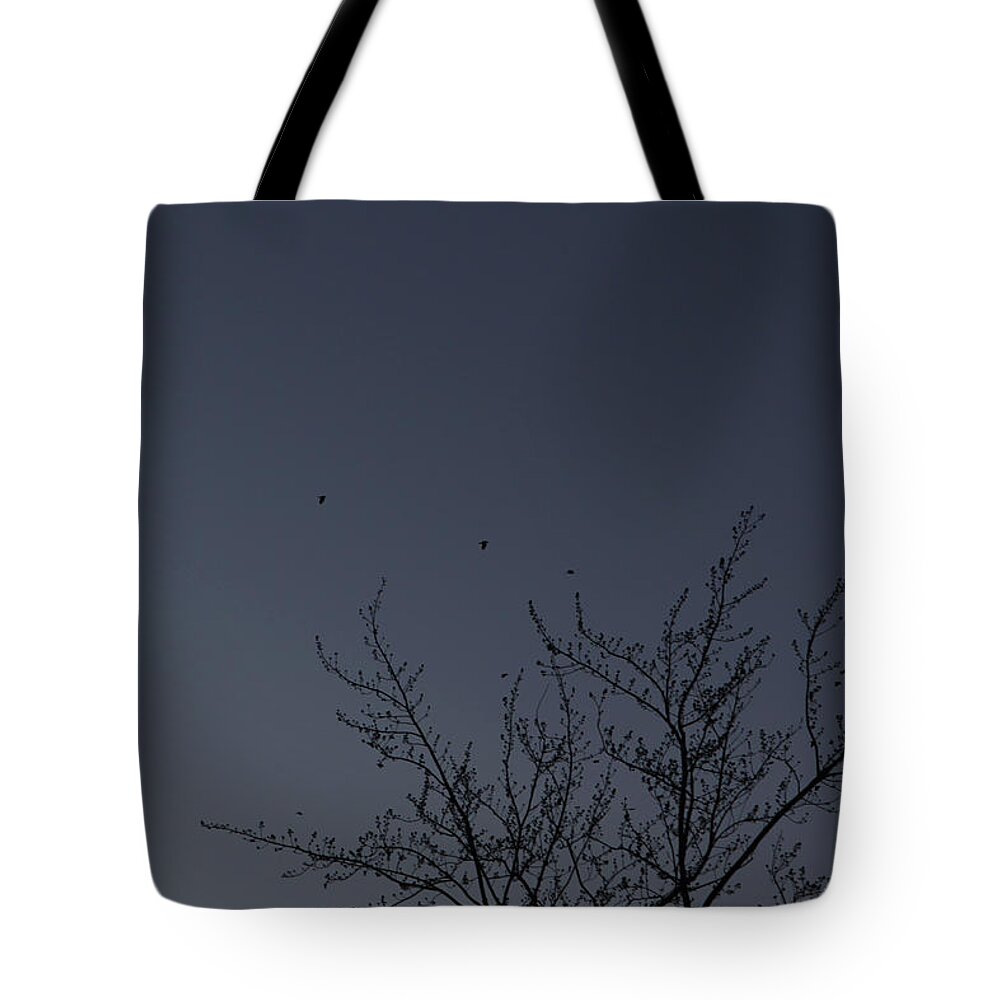  Dark Blue Morning Sunrise Dawn Birds Flying Robins Grey-blue Blue-gray Subtle Colors Tote Bag featuring the photograph Dawn Sky Dotted with Robins March 3, 2021 by Miriam A Kilmer