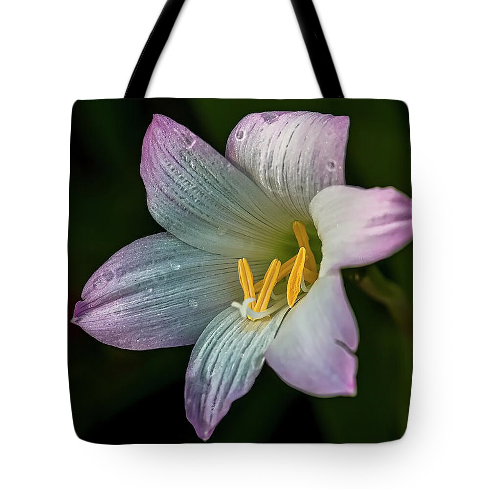  Tote Bag featuring the photograph Day Lilly by Lou Novick