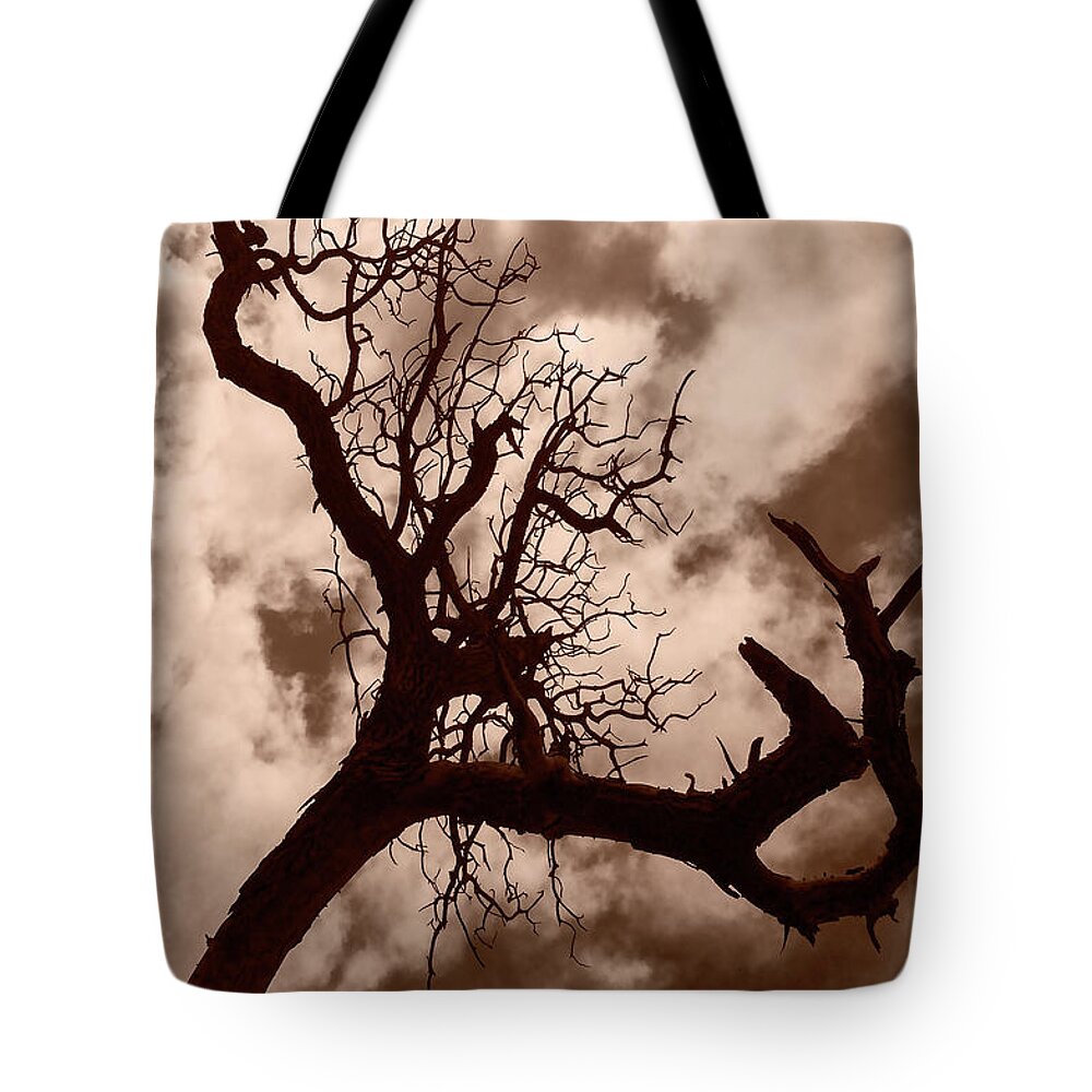 Nature Tote Bag featuring the photograph Dead Nature by Alina Oswald