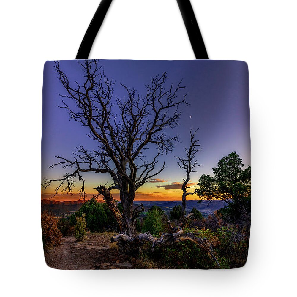 Dead Tree Tote Bag featuring the photograph Dead Tree over Durango by Bradley Morris