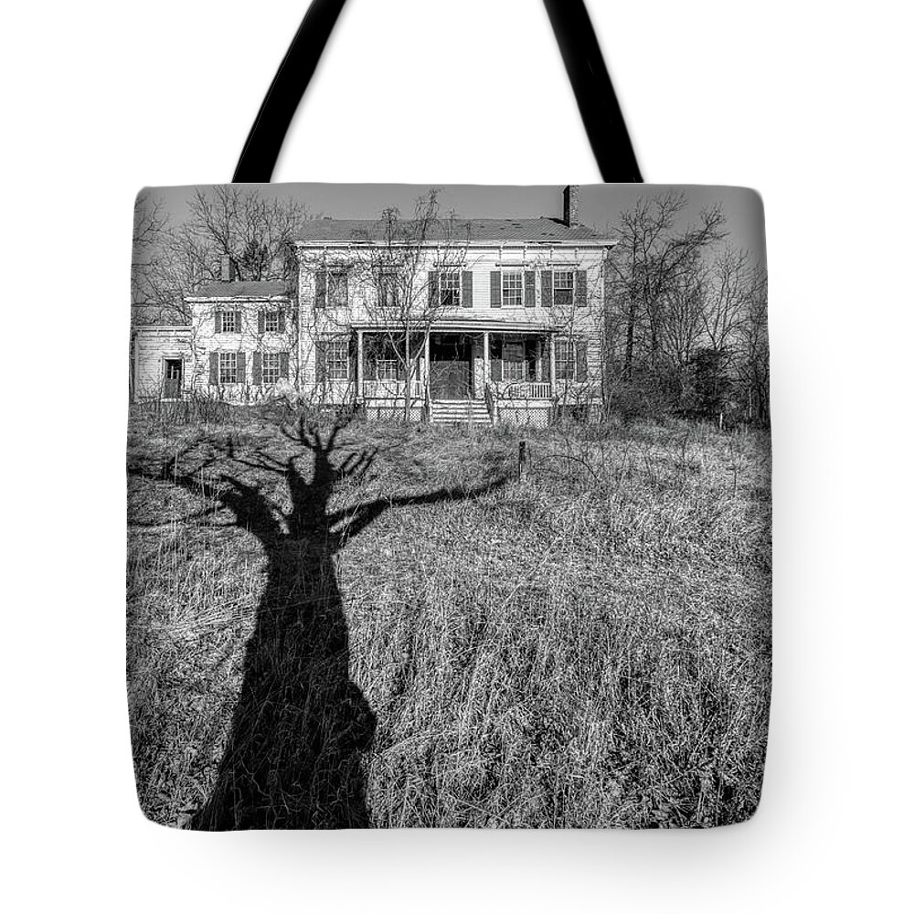 Voorhees Farm Tote Bag featuring the photograph Death Tree by David Letts