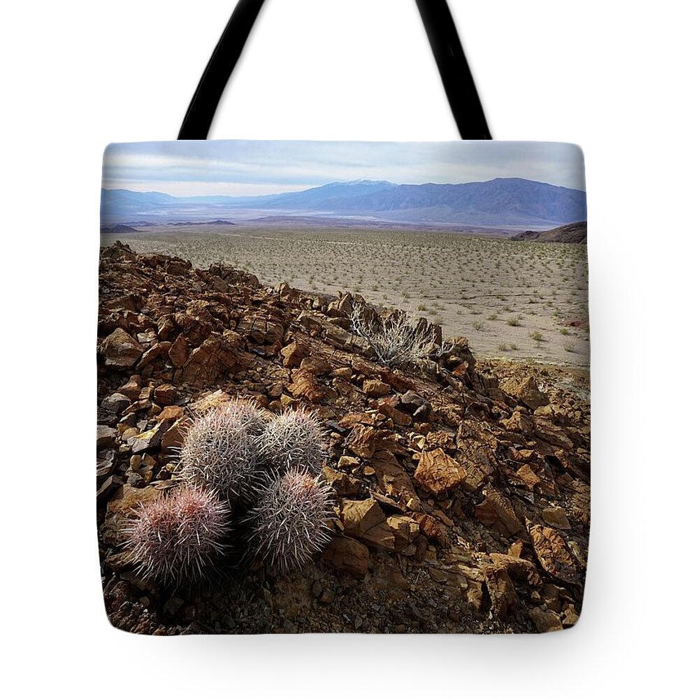 Hell’s Gate Tote Bag featuring the photograph Death Valley Tough by Brett Harvey