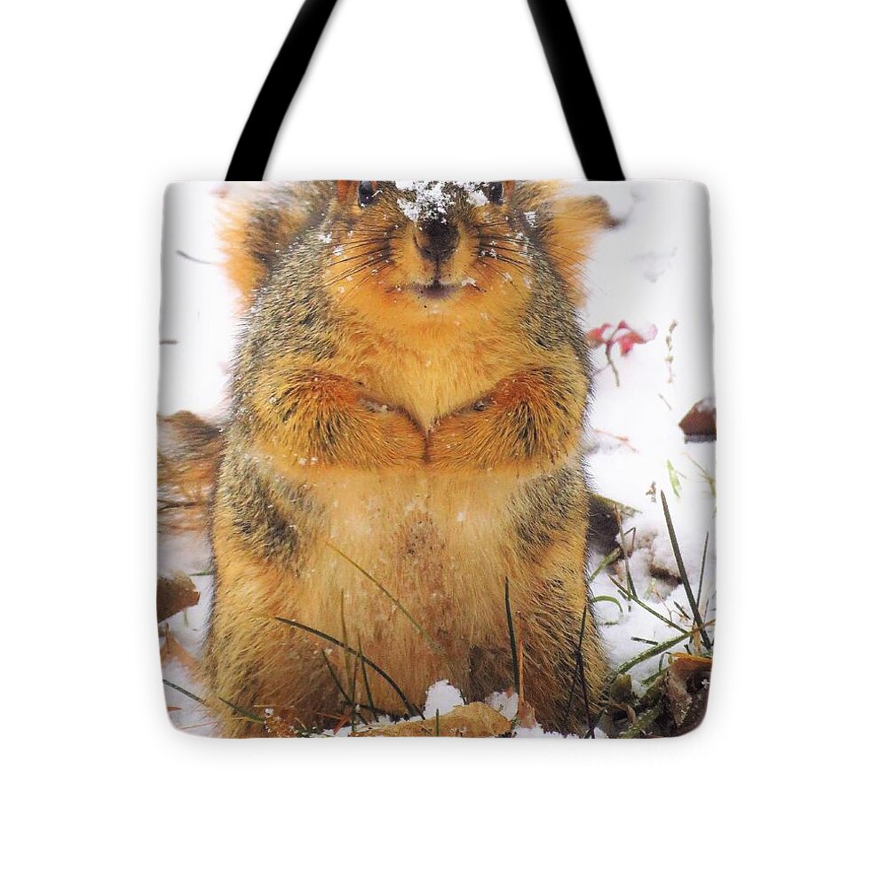Squirrels Tote Bag featuring the photograph December Squirrel by Lori Frisch