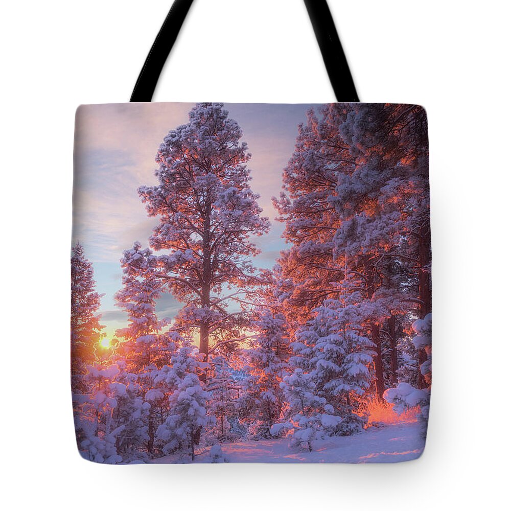 Sunrise Tote Bag featuring the photograph December Sunrise by Darren White