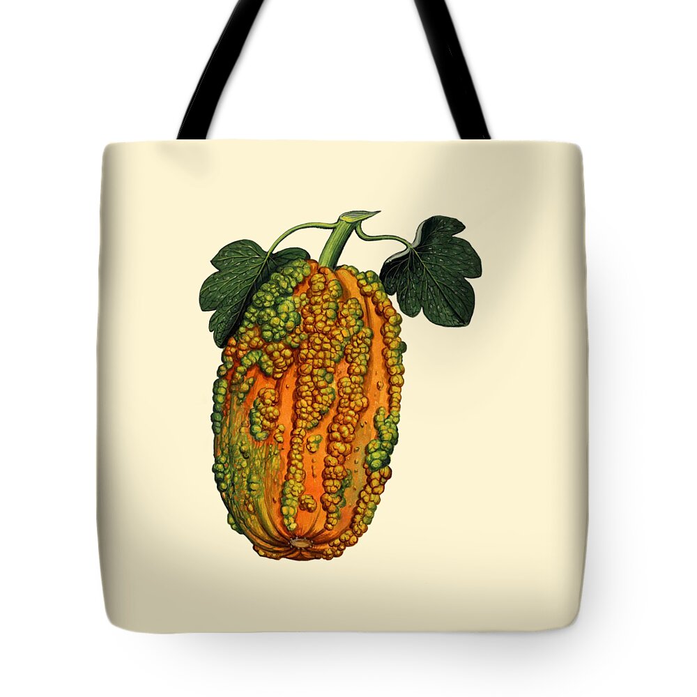 Ornamental Squash Tote Bag featuring the digital art Decorative Squash by Madame Memento