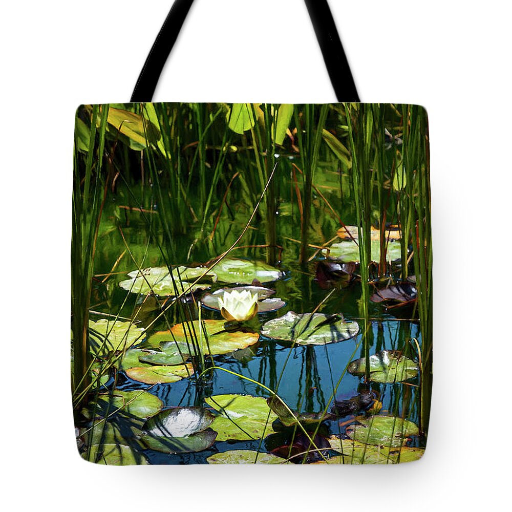 Water Lily Tote Bag featuring the photograph Deep in the Lily Pond by Bonnie Follett