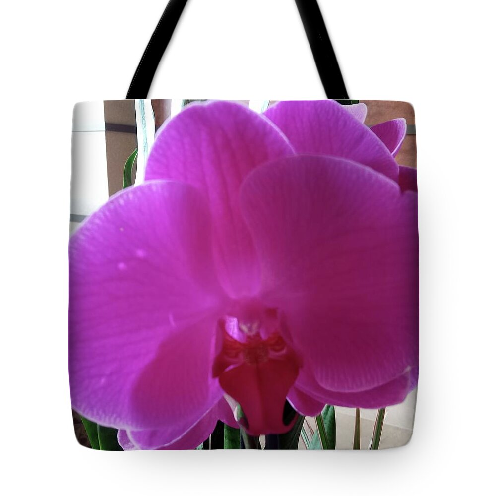 Deep Magenta Tote Bag featuring the photograph Deep Magenta Orchid #2 by Vickie G Buccini