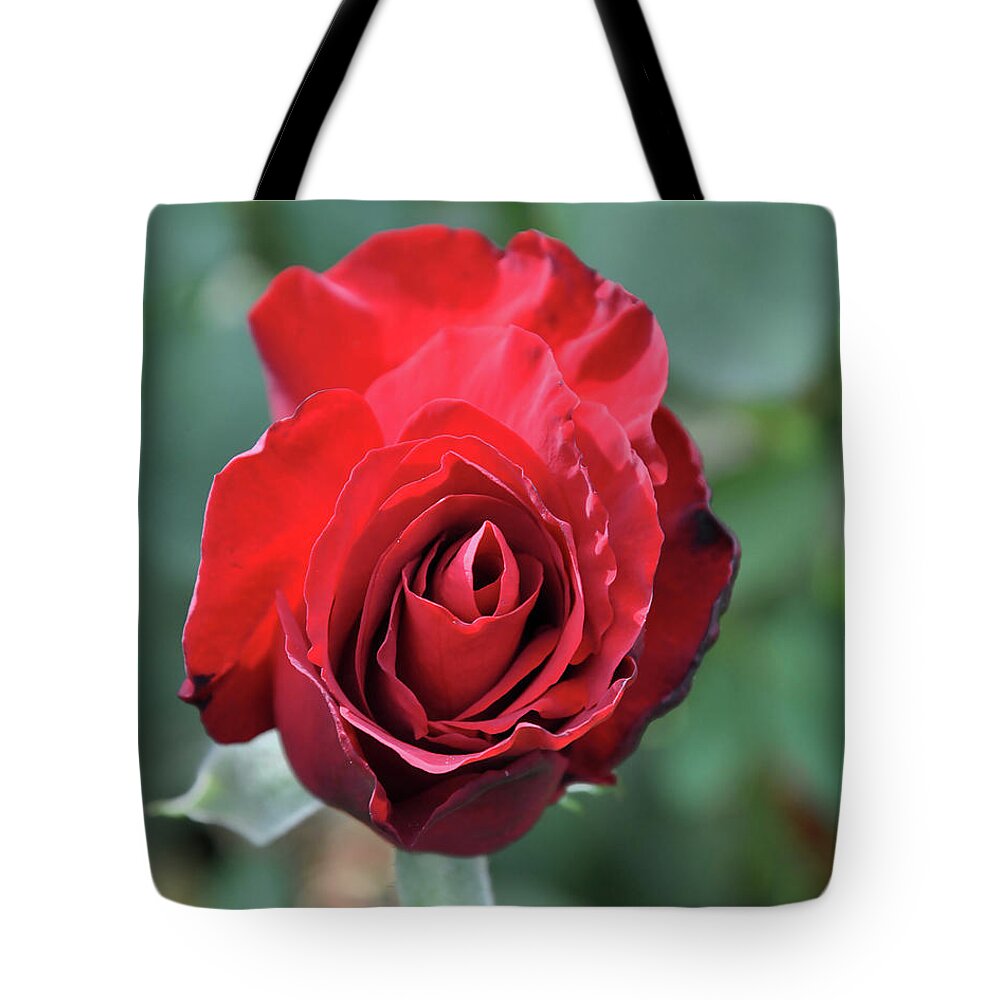Red-rose Tote Bag featuring the digital art Deep Red Rose Bloom by Kirt Tisdale