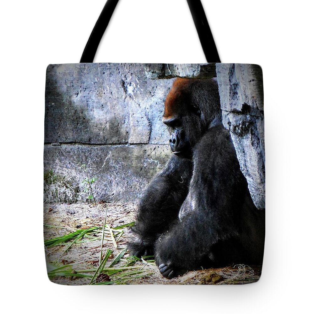Gorilla Ape Monkey Wild Jungle Animal Disney Tote Bag featuring the photograph Deep Thoughts by Nora Martinez