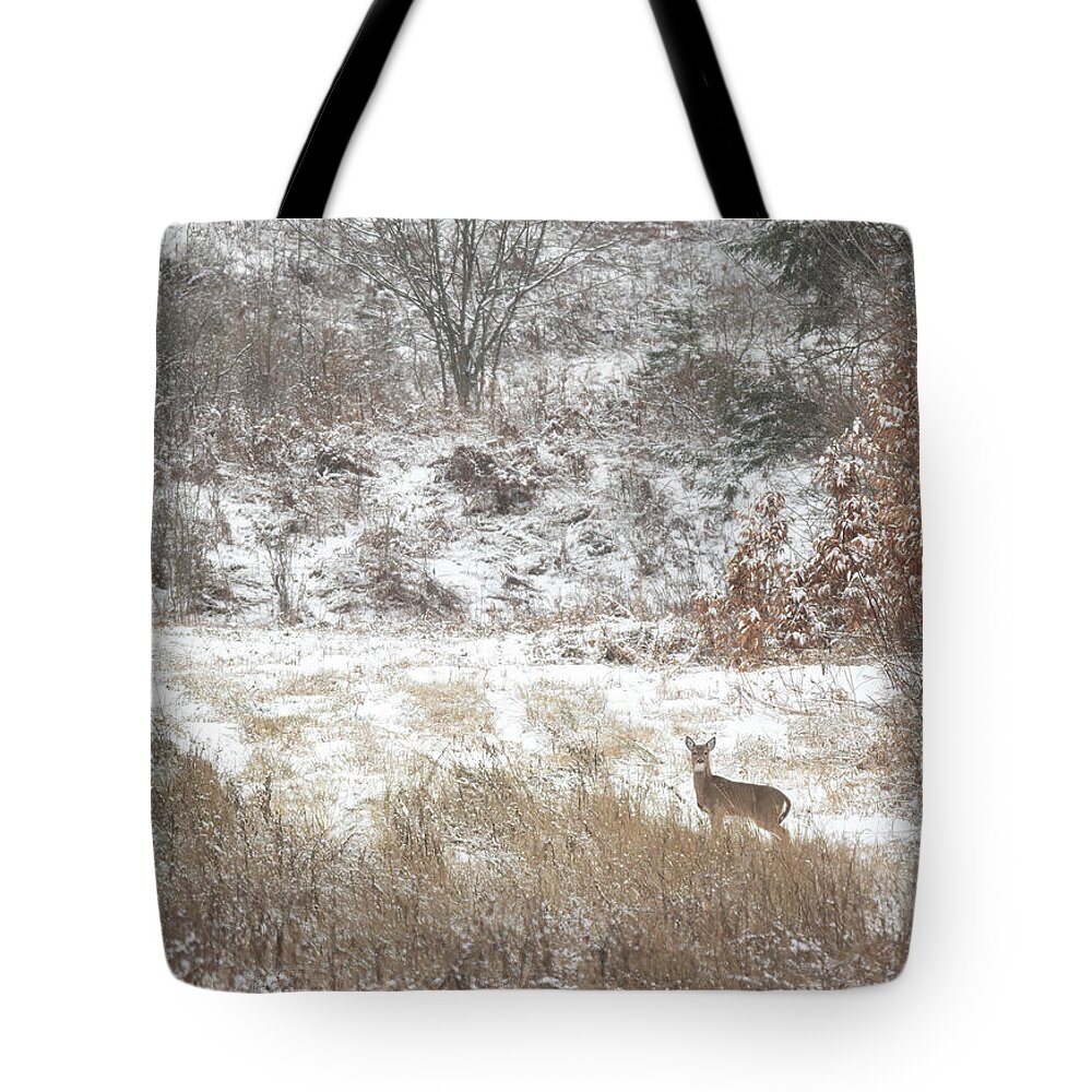 Whitetail Tote Bag featuring the photograph Deer in Snow by Wade Aiken