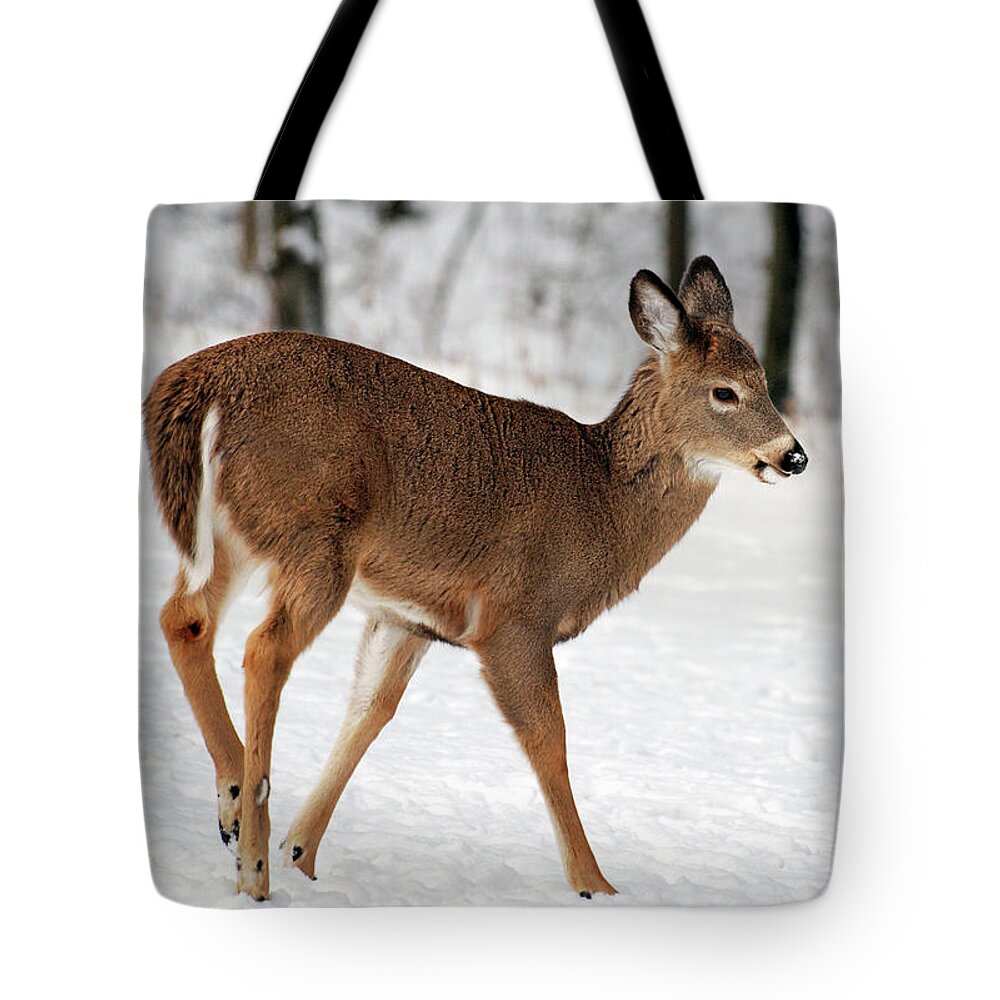 Deer Tote Bag featuring the photograph Deer on Snowy Landscape by Christina Rollo