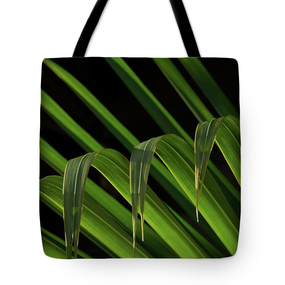Defining Light Tote Bag featuring the photograph Defining Light by Heidi Fickinger
