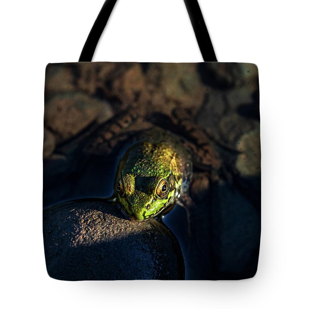 Animals Tote Bag featuring the photograph Delaware River Frog by Amelia Pearn