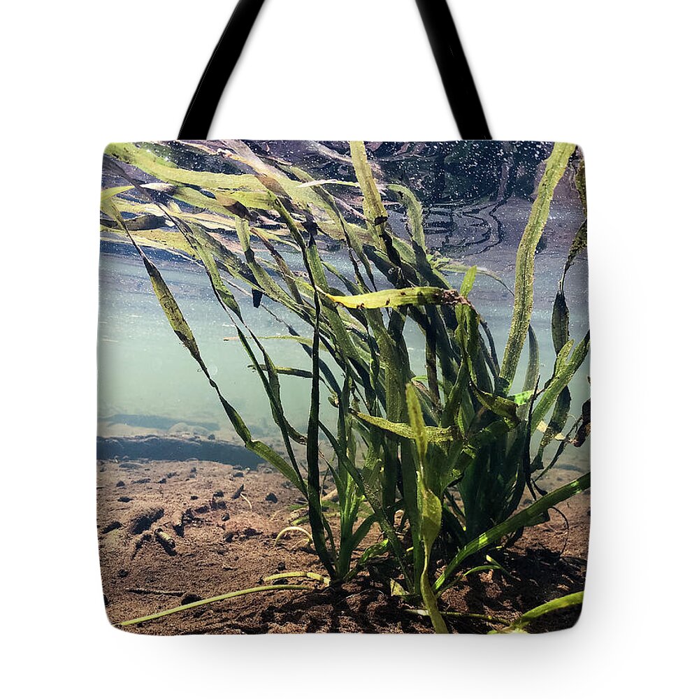 Water Tote Bag featuring the photograph Delaware River - River of the Year 2020 - Underwater Scene by Amelia Pearn
