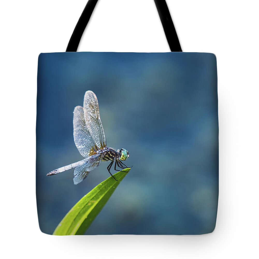 Dragonfly Tote Bag featuring the photograph Delicate Beauty by Rose Guinther