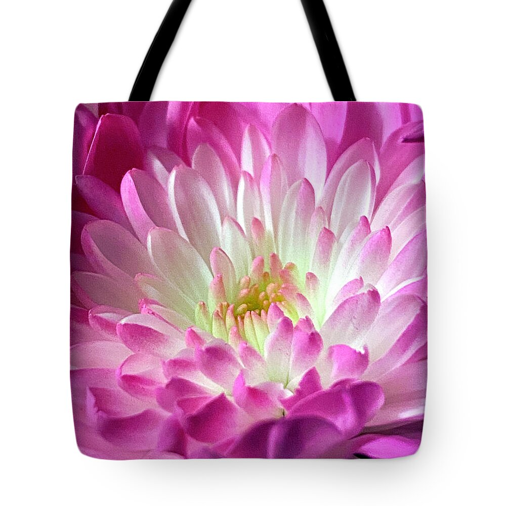 Flowers Tote Bag featuring the photograph Delicate Pink Mum 3 by CAC Graphics