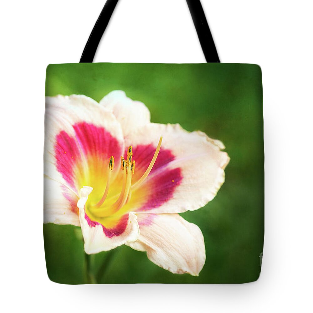 Daylily Tote Bag featuring the photograph Delicious Daylily Wineberry Candy by Anita Pollak