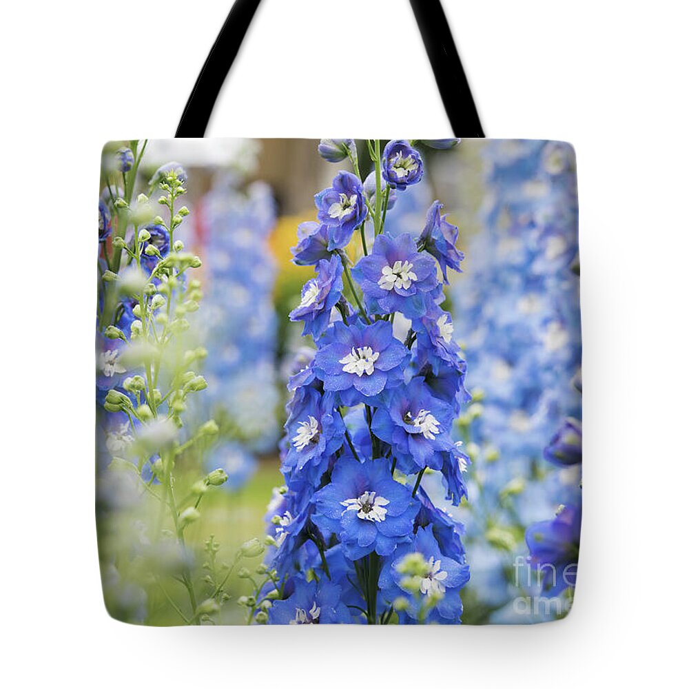 Delphinium Aurora Blue With White Bee Tote Bag featuring the photograph Delphinium Aurora Blue with White Bee Flower by Tim Gainey