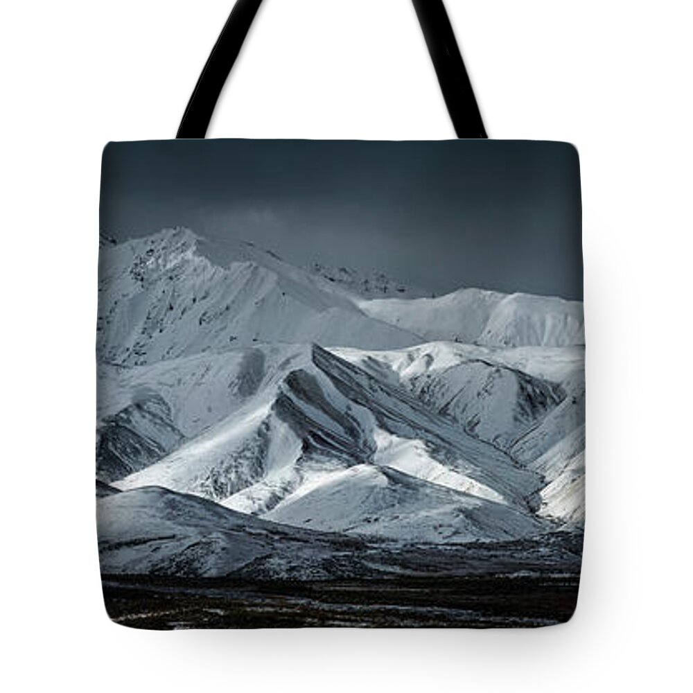 Denali Tote Bag featuring the photograph Denali national park - Polychrome Pass under snow by Olivier Parent