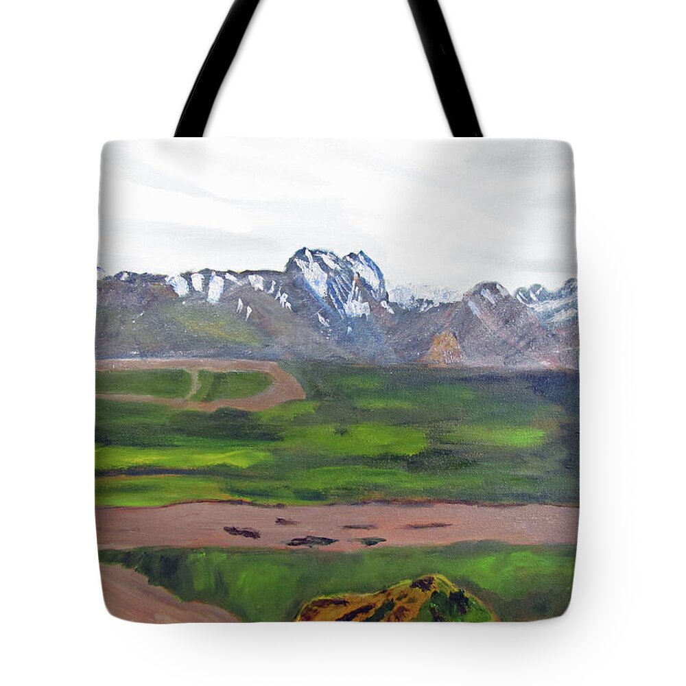 Alaska Tote Bag featuring the painting Denali Park Spring by Linda Feinberg