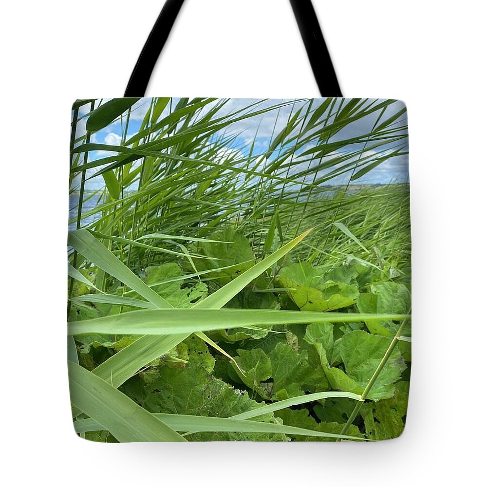 July Tote Bag featuring the photograph Denmark Nature July by Colette V Hera Guggenheim
