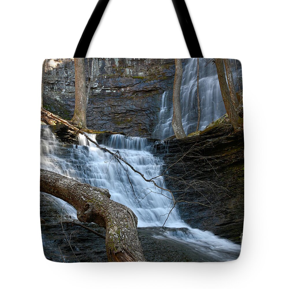 Tennessee Tote Bag featuring the photograph Denny Cove Falls 8 by Phil Perkins