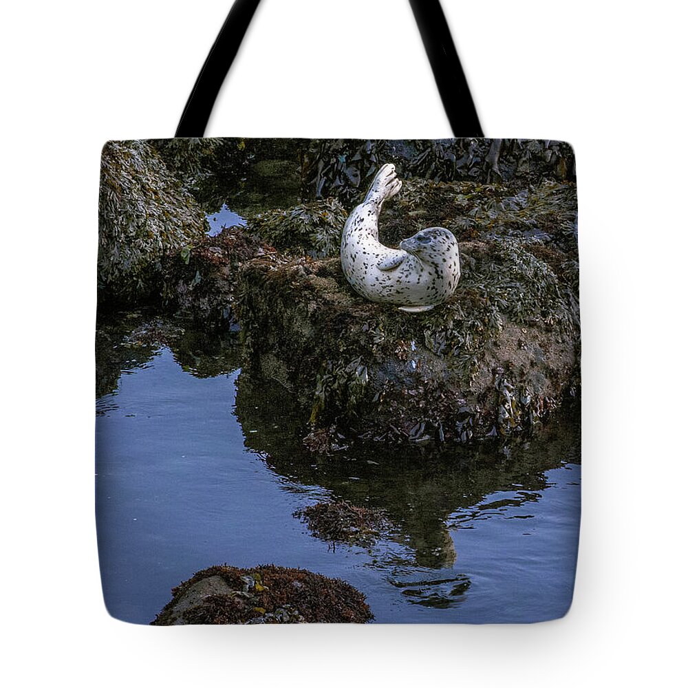 Scenic Tote Bag featuring the photograph Depoe Bay Seal by Doug Davidson