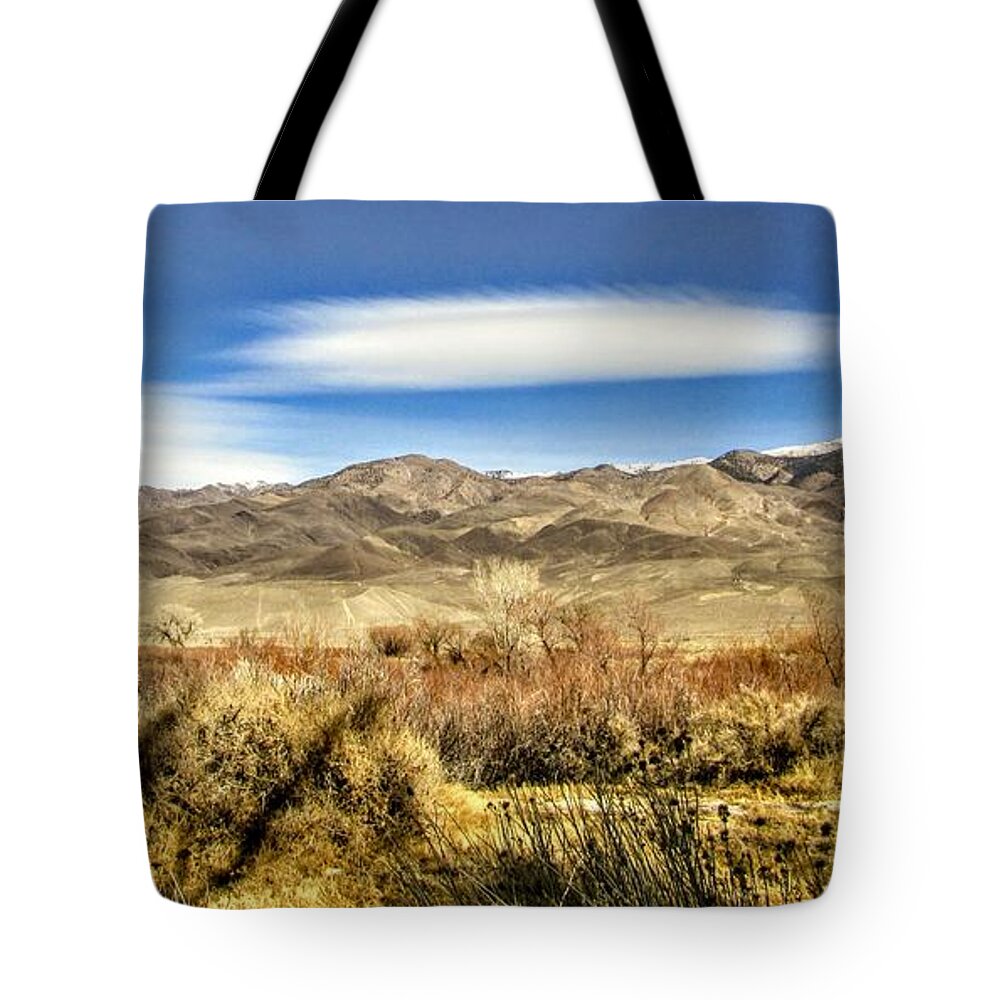 Desert Tote Bag featuring the photograph Desert Arrival by Marilyn Diaz