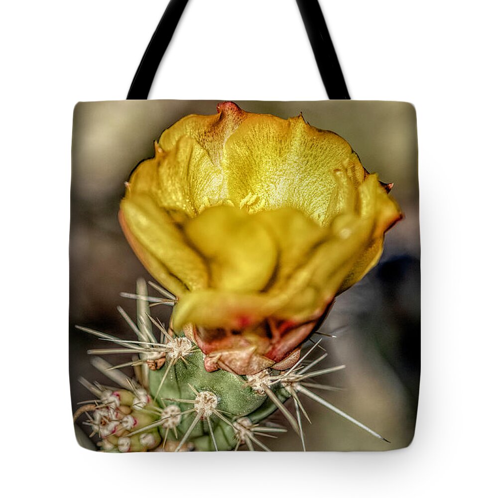 Catus Tote Bag featuring the photograph Desert Bud by Pamela Dunn-Parrish