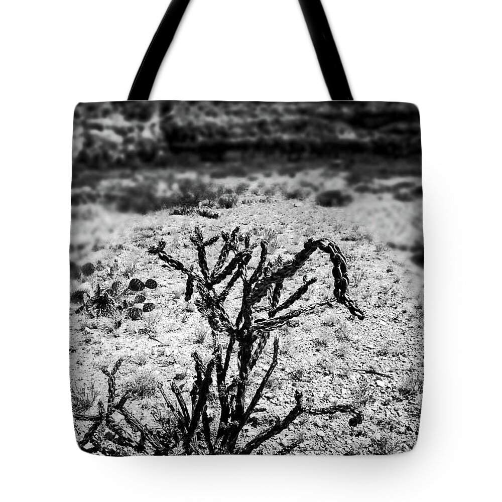 Desert Tote Bag featuring the photograph Desert Floor by George Taylor