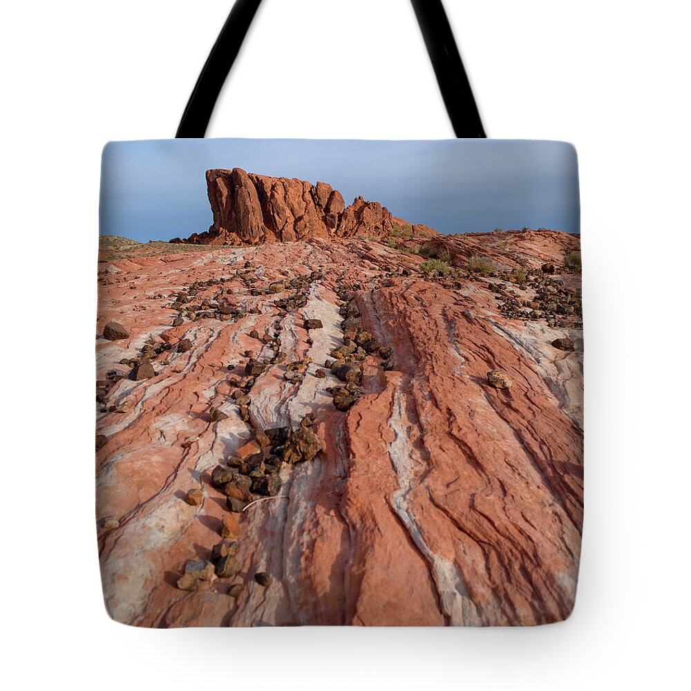 Valley Of Fire Tote Bag featuring the photograph Desert Lines by Mary Hone
