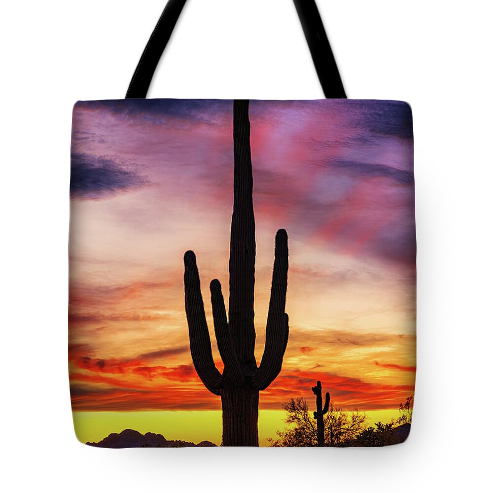 Arizona Tote Bag featuring the photograph Desert Musings by Rick Furmanek