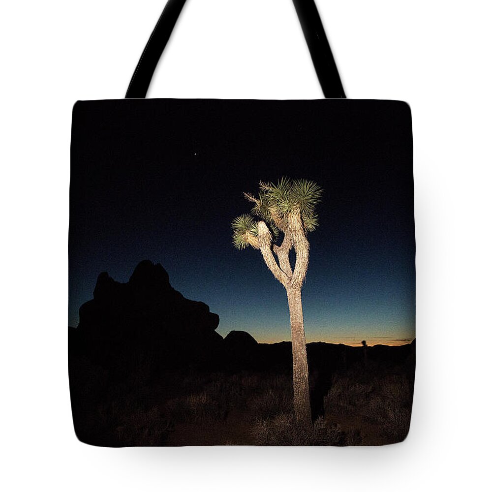Joshua Tree National Park Tote Bag featuring the photograph Desert Scene 8 by Joseph Philipson