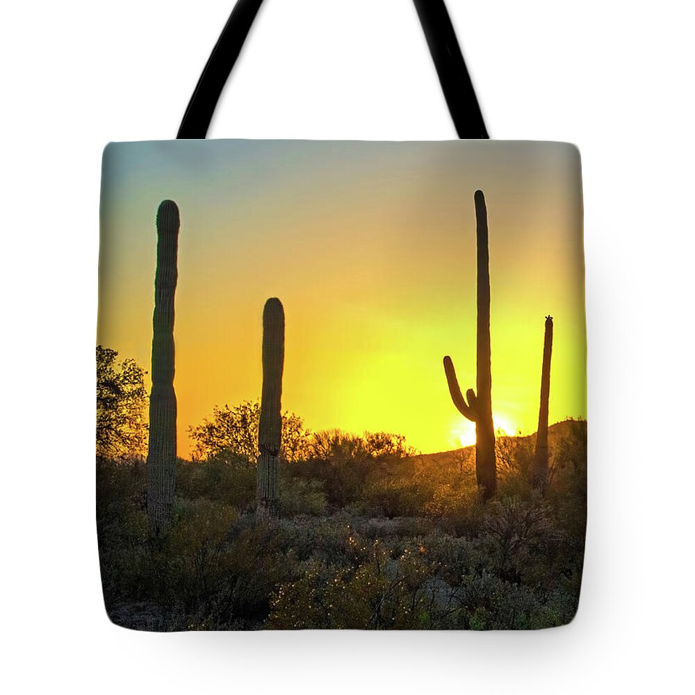 Desert Tote Bag featuring the photograph Desert Sunset by Judi Dressler