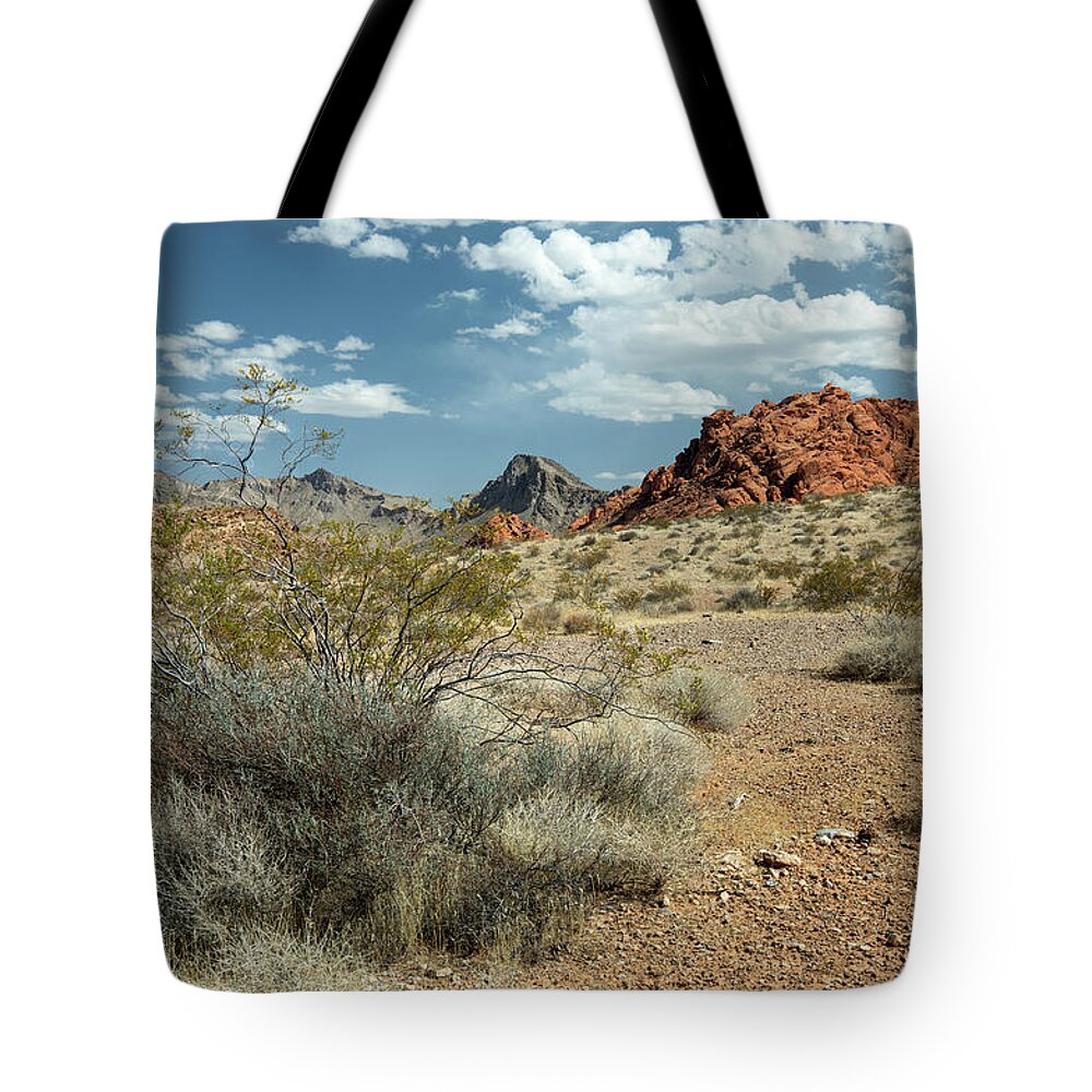 Landscape Tote Bag featuring the photograph Desert Survivor by Craig A Walker