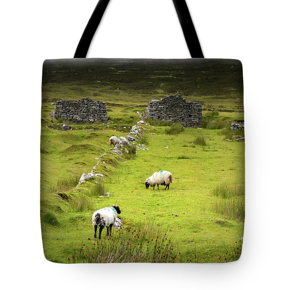 Gift Tote Bag featuring the photograph Deserted Village 1 by Mark Callanan