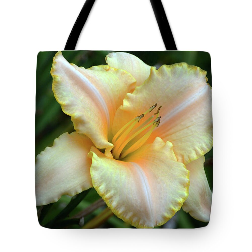 Daylily Tote Bag featuring the photograph Desirable Daylily. by Terence Davis