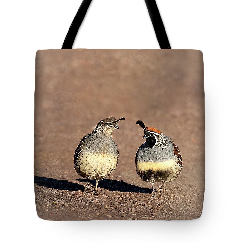Quail Tote Bag featuring the photograph Desert Stroll by Art Cole