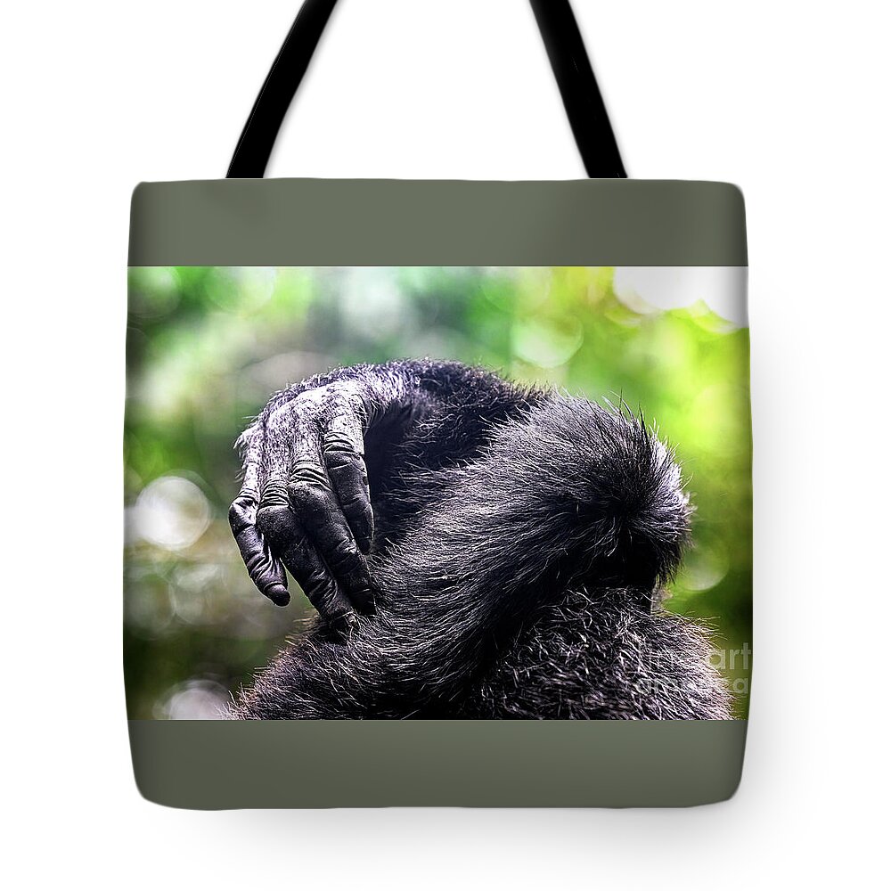 Fingers Tote Bag featuring the photograph Detail of the hands of two chimpanzees by Jane Rix