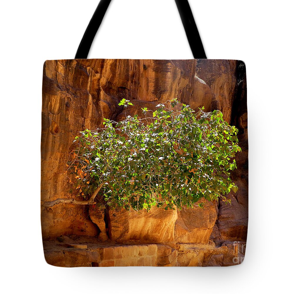 Tree Tote Bag featuring the photograph Determined Tree by Tina Mitchell