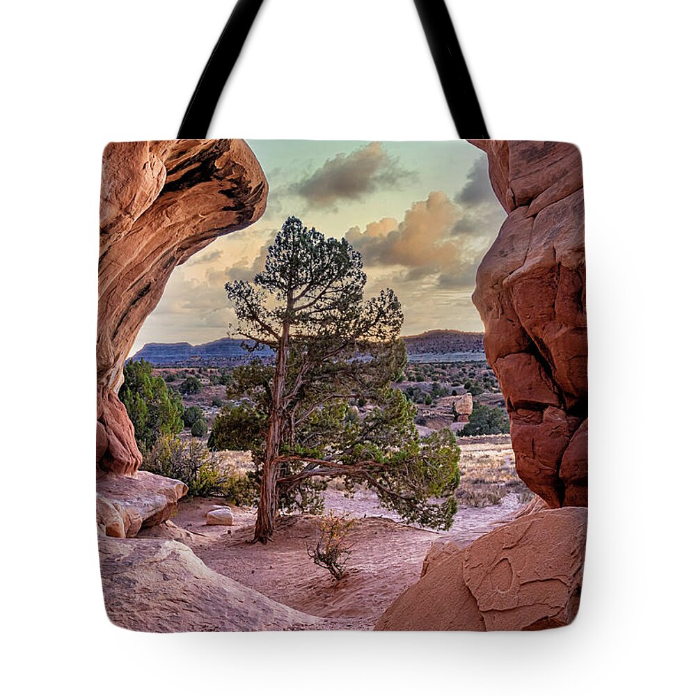 2020 Utah Trip Tote Bag featuring the photograph Devil's Garden Arch by Gary Johnson