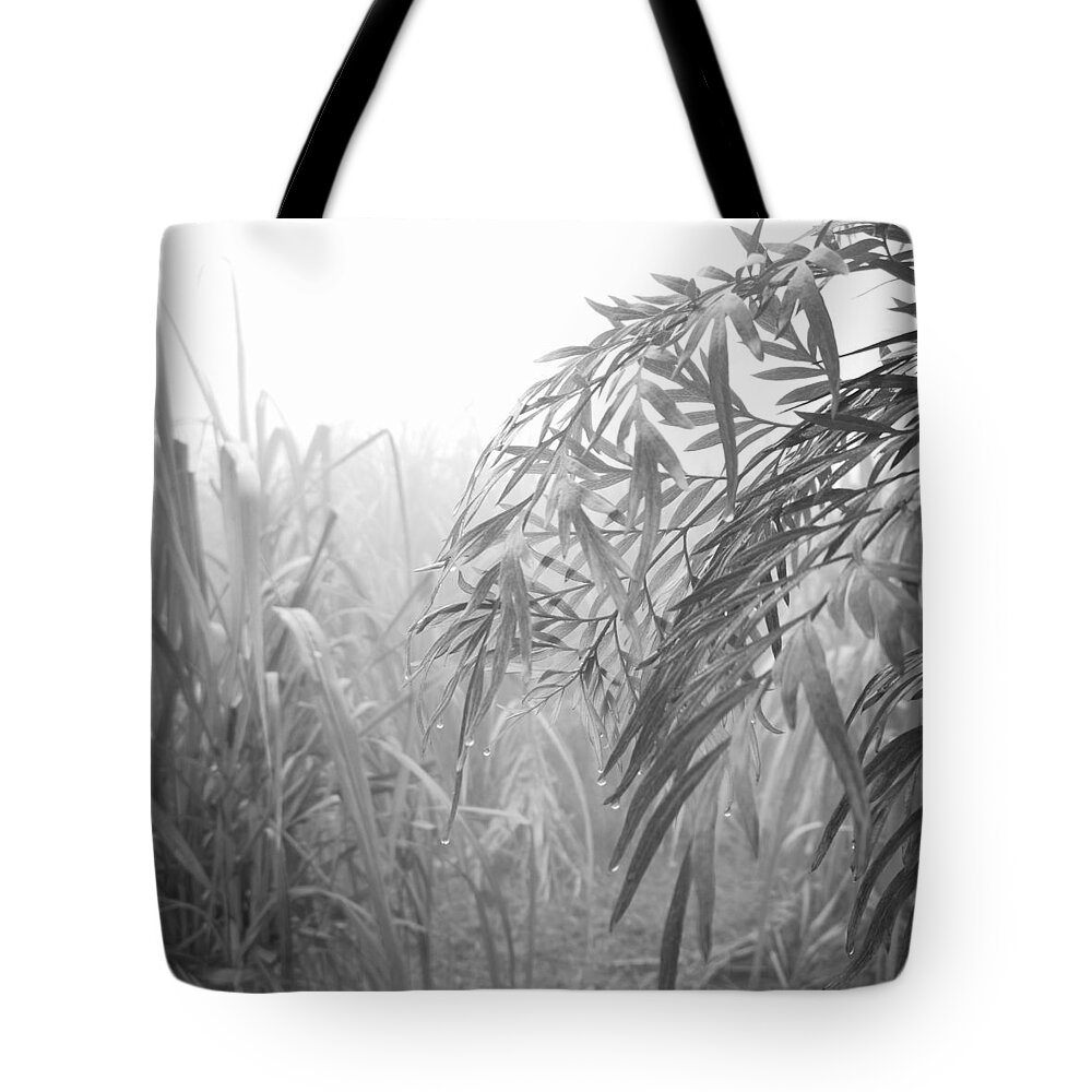 Rural Photography Tote Bag featuring the photograph Dew's drops by Jarek Filipowicz